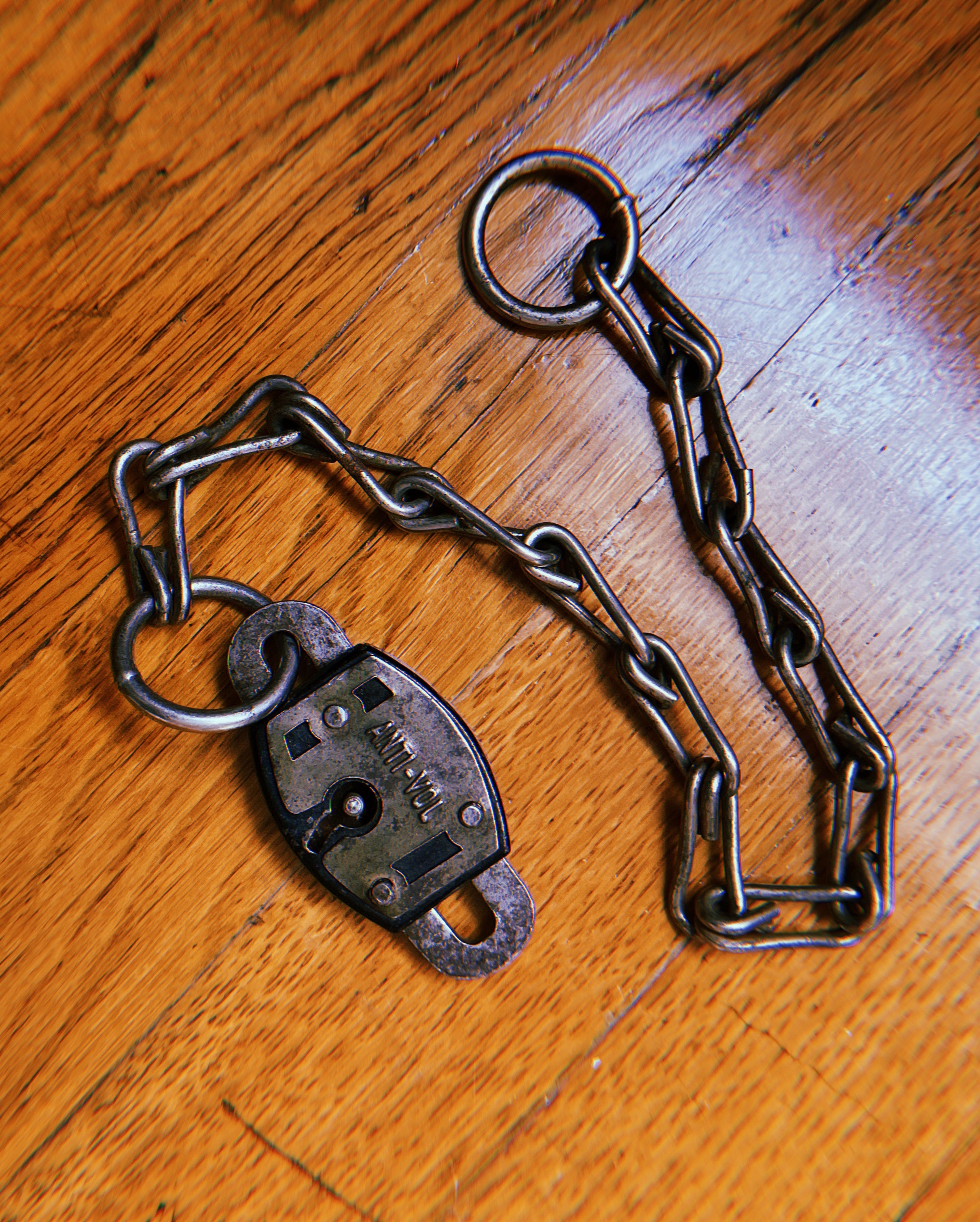 1950's French Padlock + Chain Collar