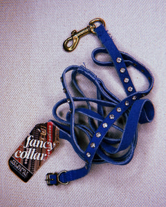 1980's Rhinestone Blue Suede Collar + Leash Set