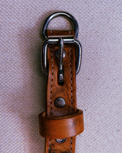 1970's Hand-Tooled Floral Leather Dog Collar in Natural