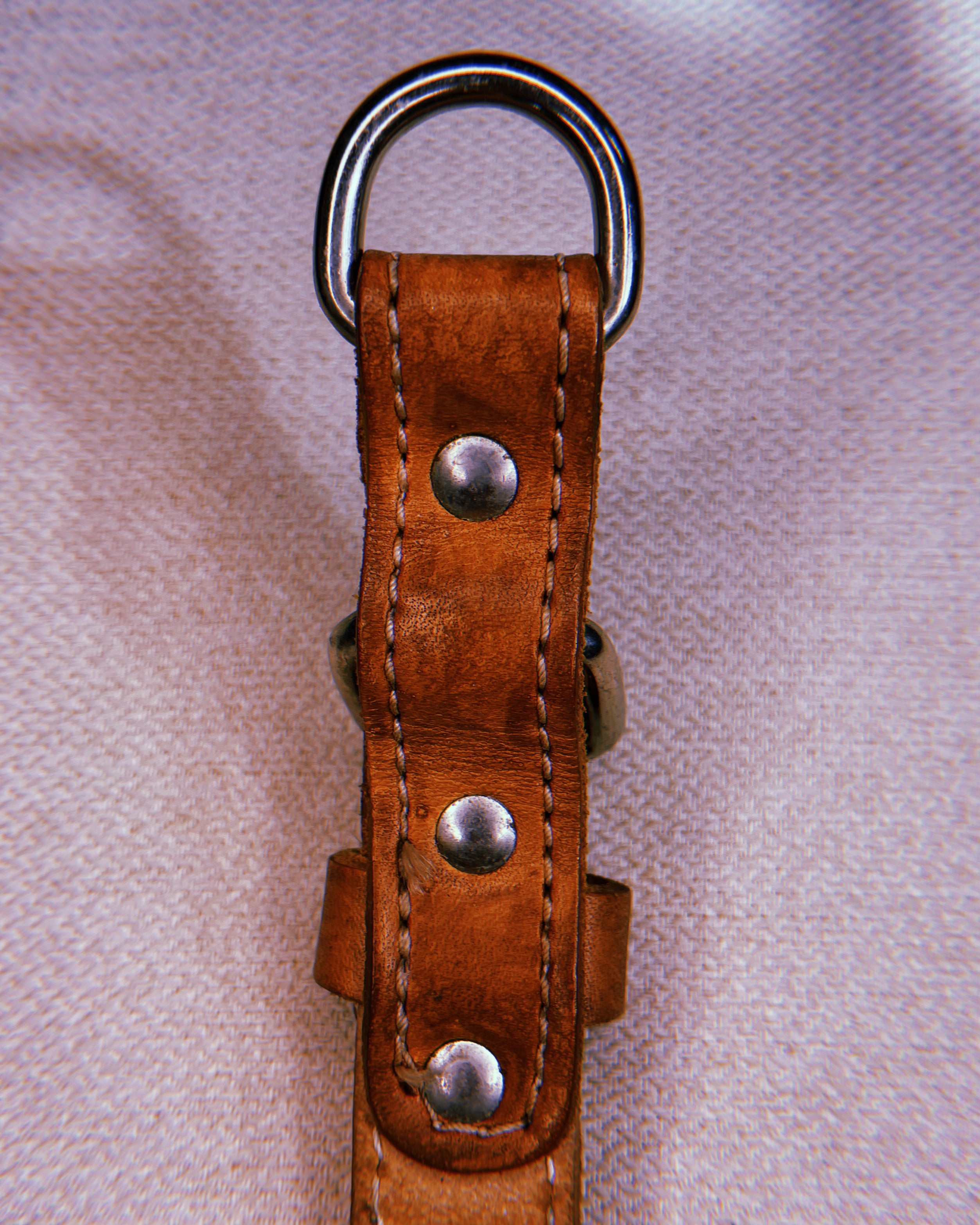 1970's Hand-Tooled Floral Leather Dog Collar in Natural