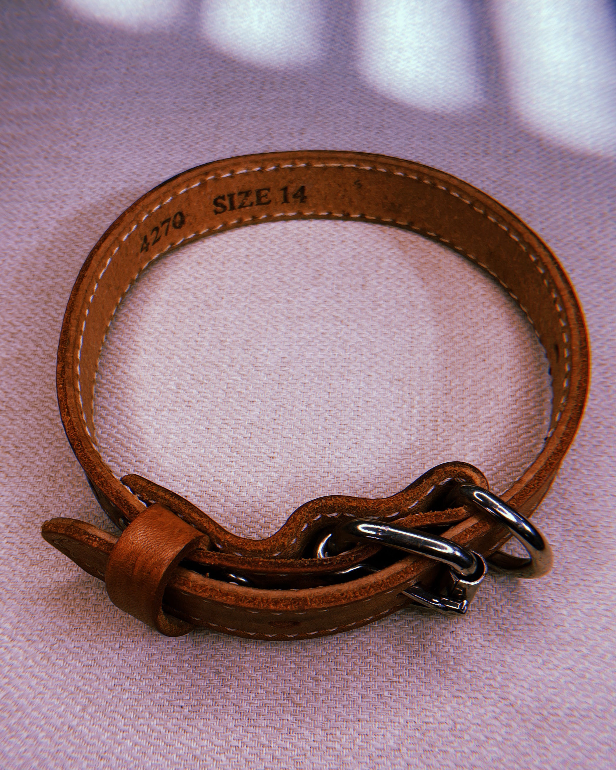 1970's Hand-Tooled Floral Leather Dog Collar in Natural