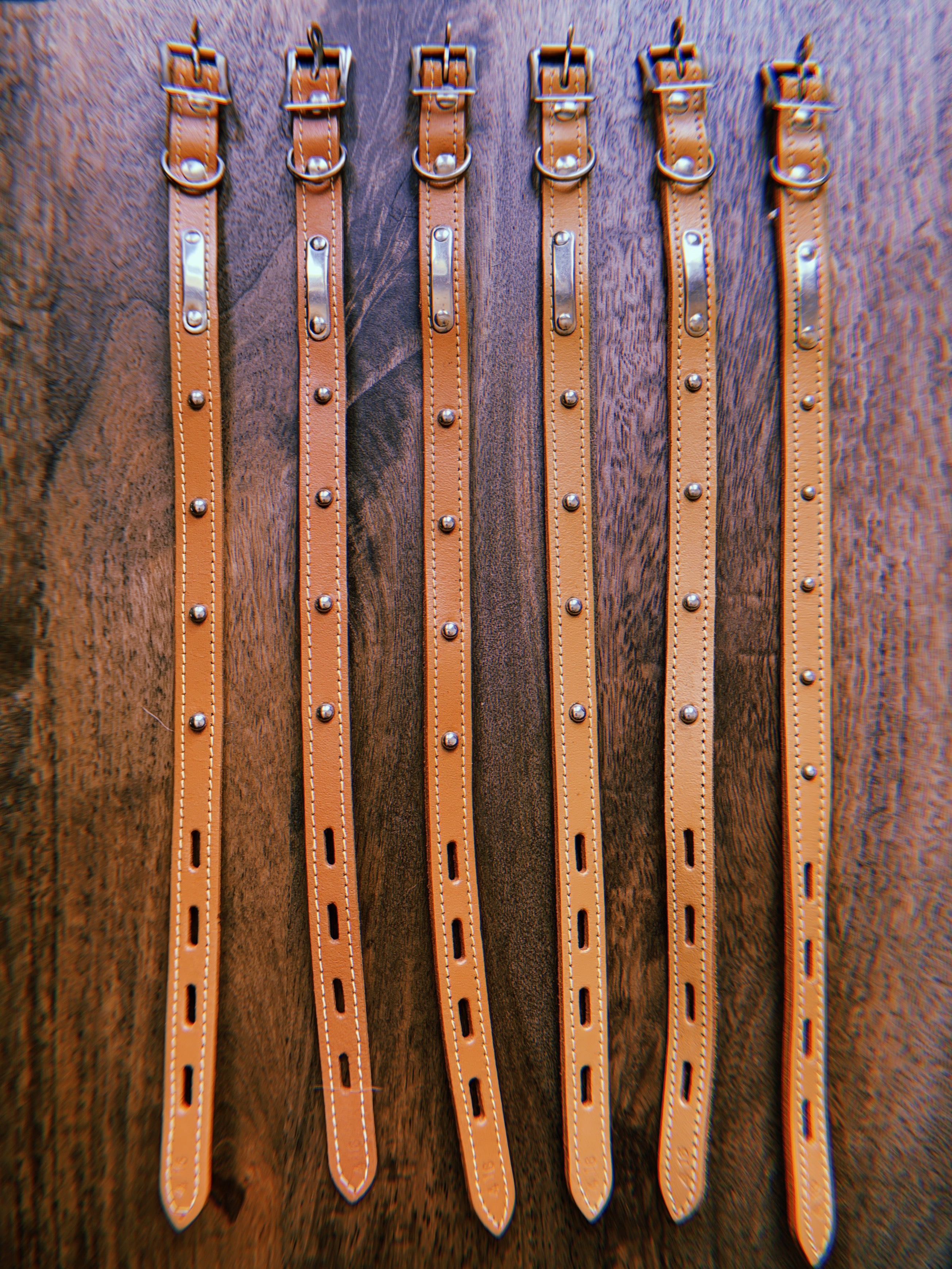 1960's Dead Stock Plain Leather Domed Stud Pet Collar