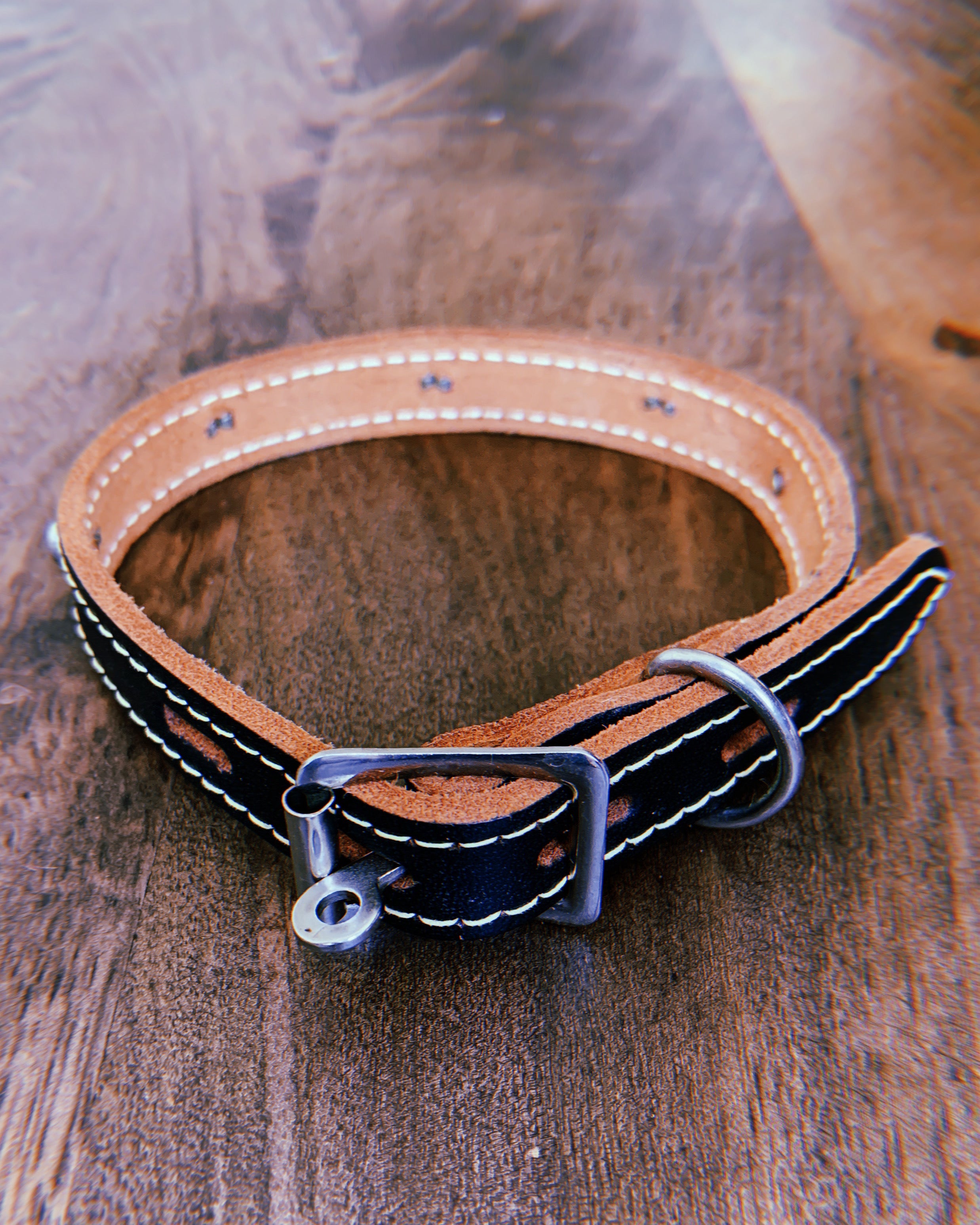 1960's Dead Stock Plain Leather Domed Stud Pet Collar