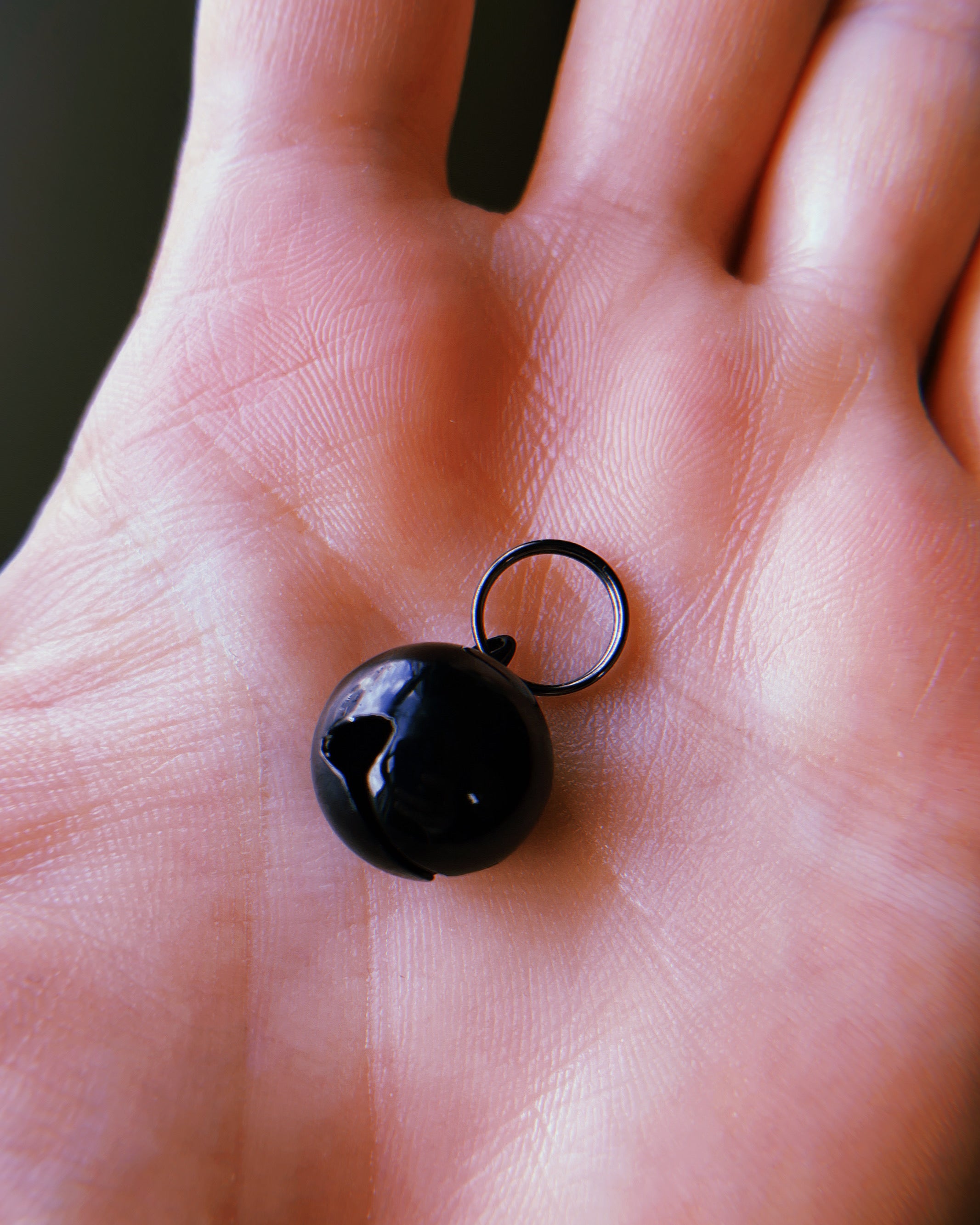 Shiny Jet Black Collar Bell w/ Gunmetal Split Ring